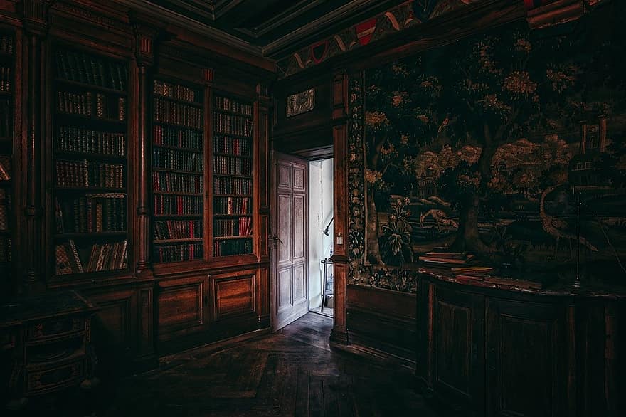 Perpustakaan, buku, Baca baca, pengetahuan, jaman dahulu, tua, historis, koleksi, lalu, pintu, Buka