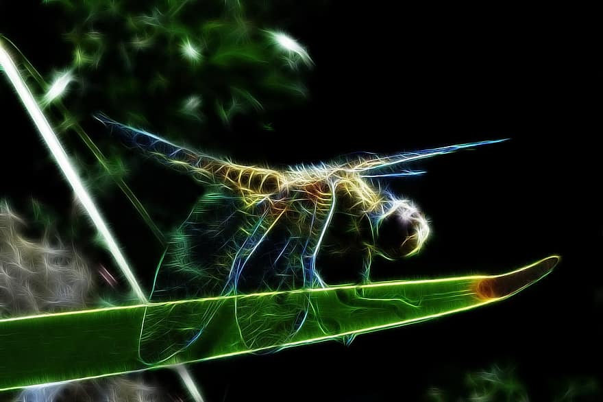 Fractalius, четырехконечная стрекоза, стрекоза, стрекозы, закрыть, насекомое, красочный, Аннотация
