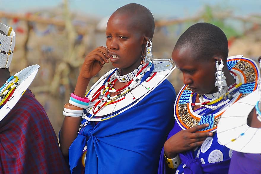 vrouw, maasai, inheems, meisjes, masai vrouwen, groep, cultuur, traditioneel, tribal, ceremonie, viering