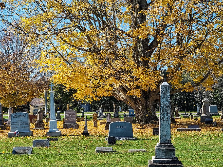 kirkegården, kirkegård, gravplass, minnesmerke, høst, gravstein, gul, tre, gress, grav, årstid