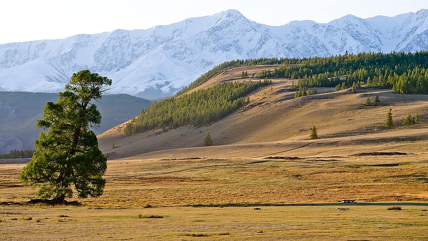 la nature, rural, champ, en plein air, Voyage, exploration, Altaï, les montagnes, l'automne, arbre, Montagne