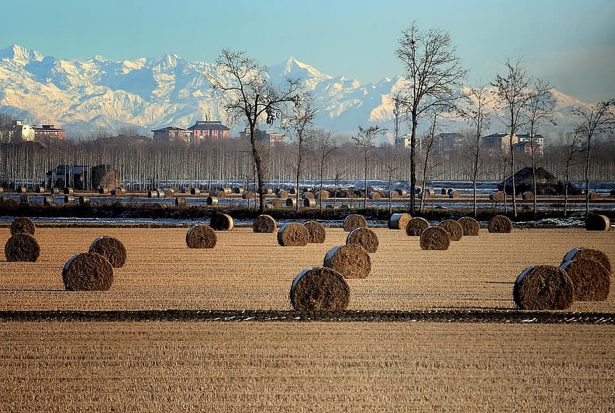 Field, Hay, Hay Bales, Agriculture, Panorama, Stoppe Riso