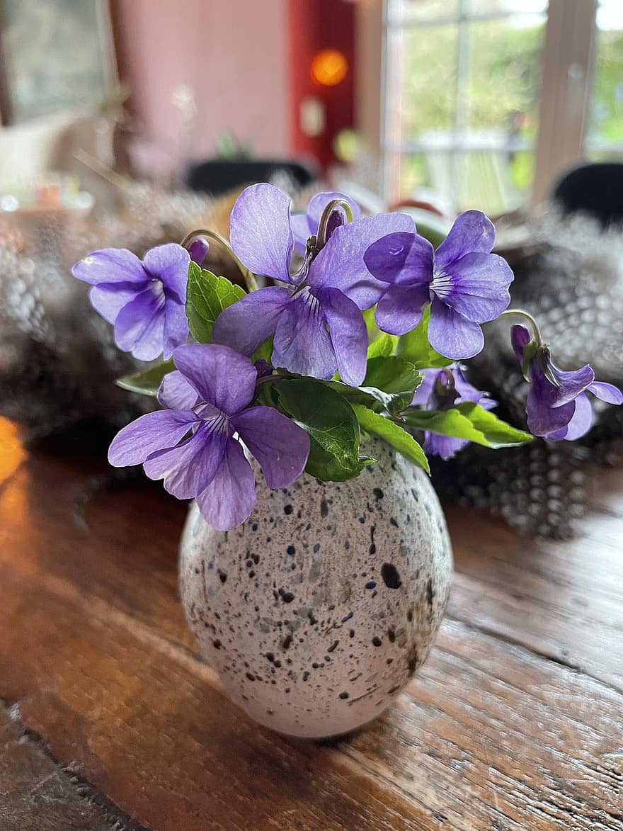 flores violetas, flores, vaso de flores, decoração, Primavera, flor, fechar-se, plantar, vaso, madeira, primavera