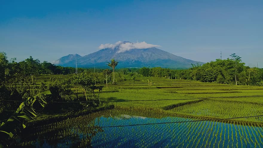 Indonezija, kalnai, kraštovaizdį, medžiai, malang, peizažas, pobūdį, žolė, kelionė, žvalgymas, kalnas
