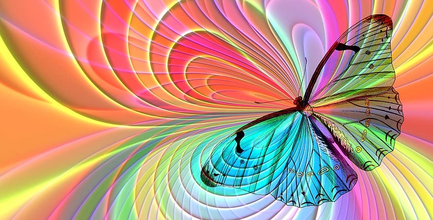 Arrangement, Butterfly, Aesthetics, Aesthetic, Building, Nature, Image, Screen Background, Color, Chromaticity Diagram, Form