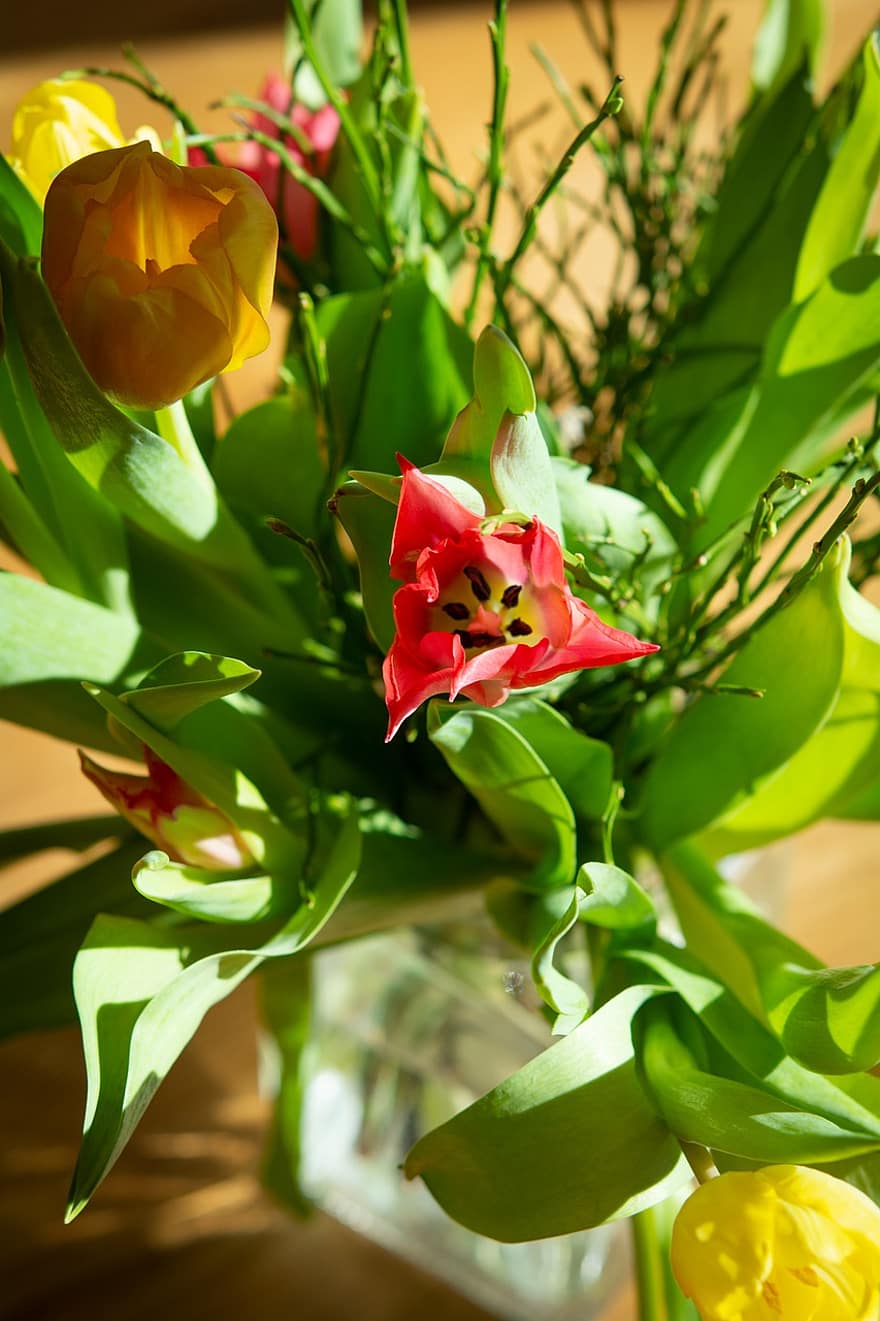 las flores, tulipanes, decoración, floración, botánica, primavera, estacional, flor, de cerca, planta, hoja