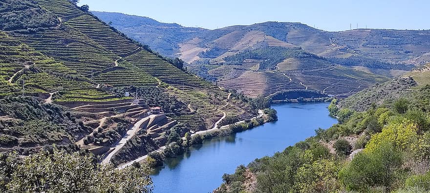 douro floden, vingårdar, porto, portugal