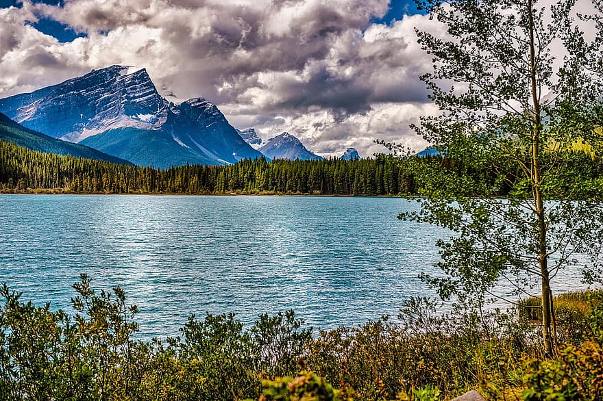lac, copaci, pădure, munţi, Banff, Canada, pitoresc, peisaj, Munte, apă, copac