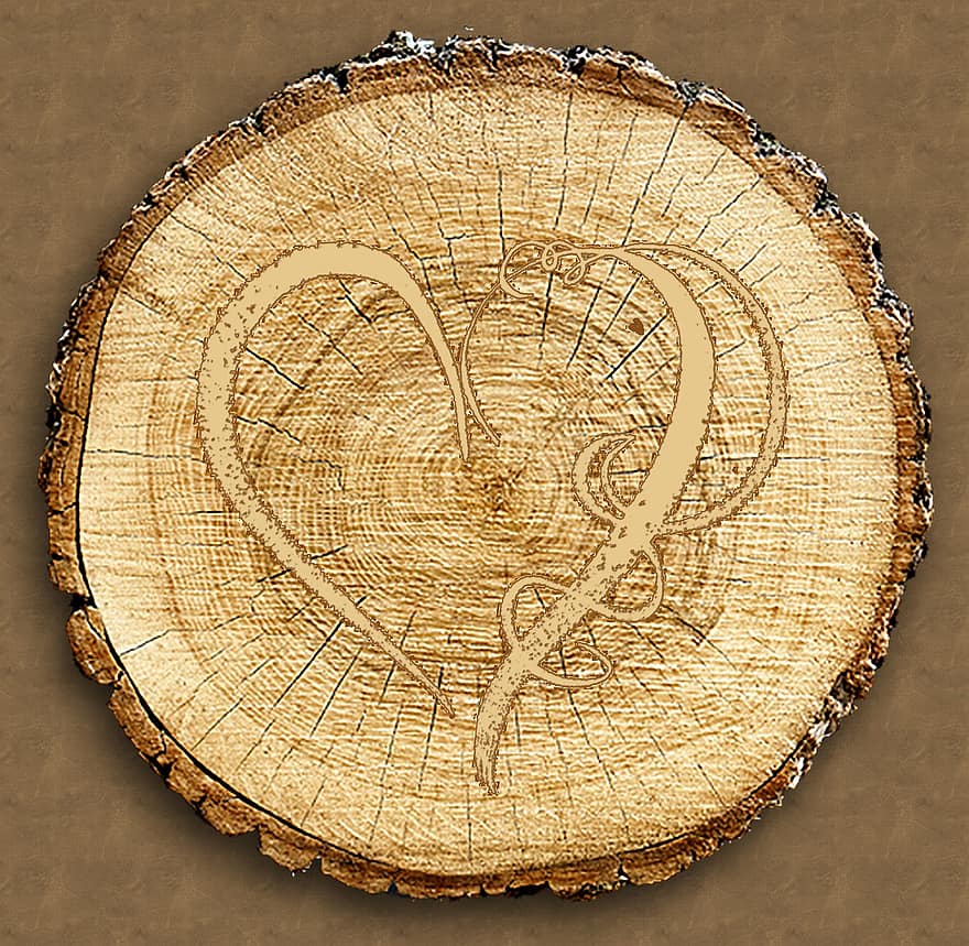 обичам, сърце, дървена подложка, кръг, стар, дърво, история, античен, илюстрация, фонове, напречно сечение