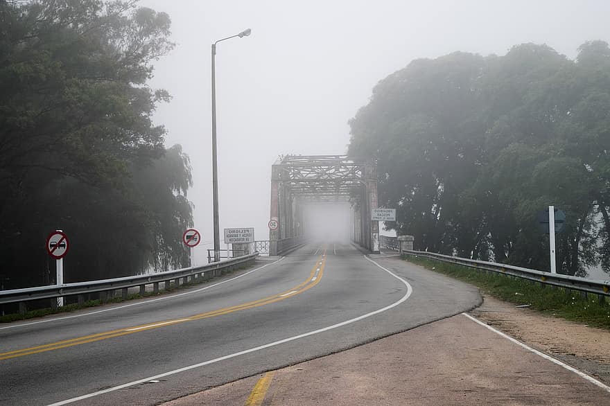 Дорога, мост, туман, деревья, транспорт, движение, скорость, асфальт, автомобиль, шоссе с несколькими полосами движения, вождение