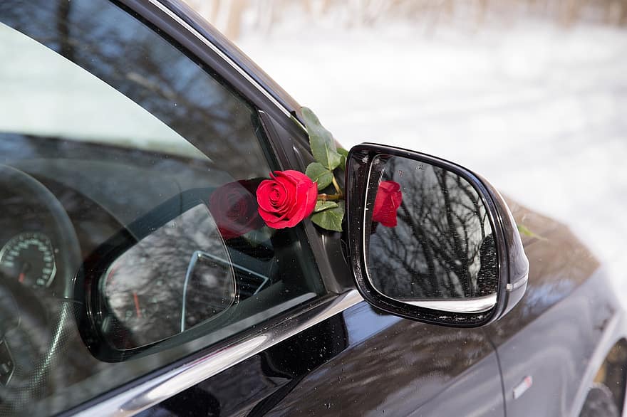 blomst, Rose, bil, flor, blomstre, land køretøj, transportmidler, tæt på, kørsel, vindue, afspejling
