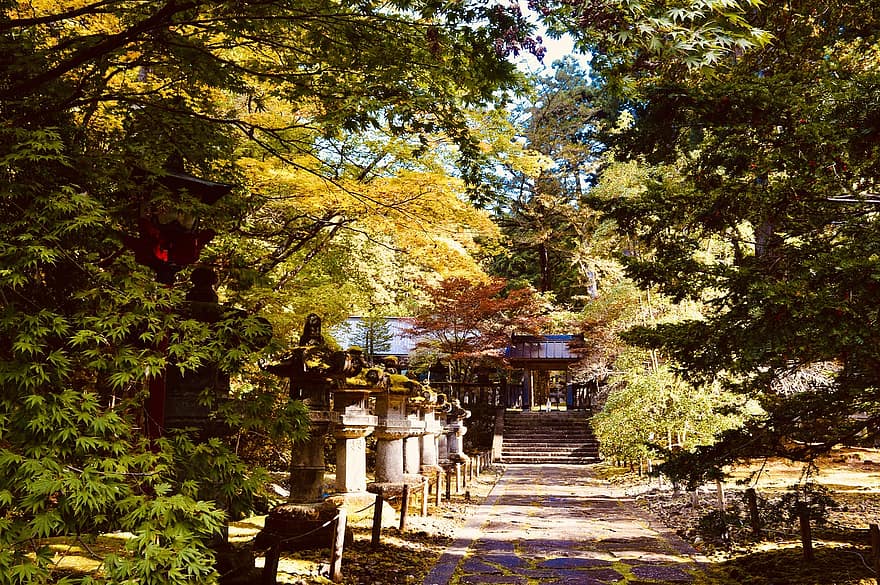 храм, ліс, падіння, провулок, Момідзі, дерево, осінь, лист, сезон, архітектура, жовтий
