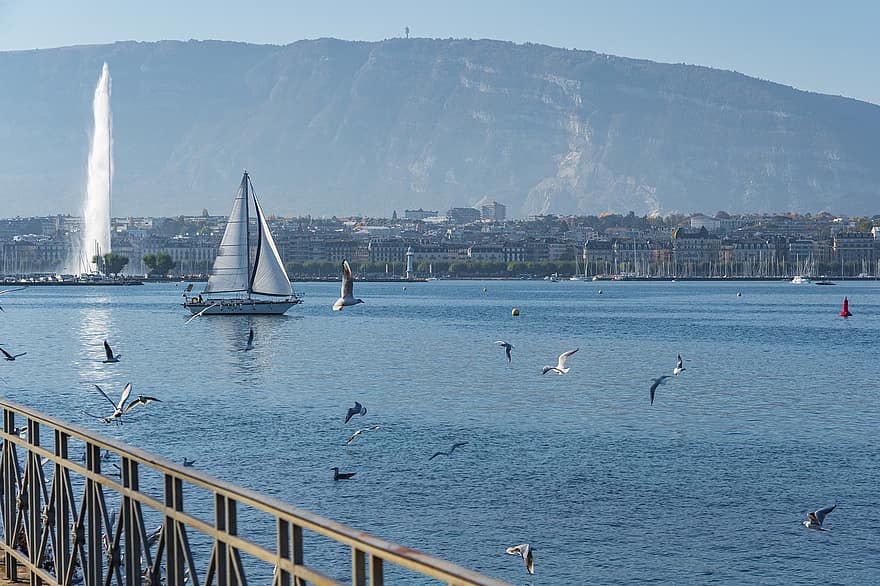 Γενεύη, Lake Geneva, jet d'eau, Ελβετία, fontaine, λίμνη, κρήνη, ακροποταμιά, γλάροι