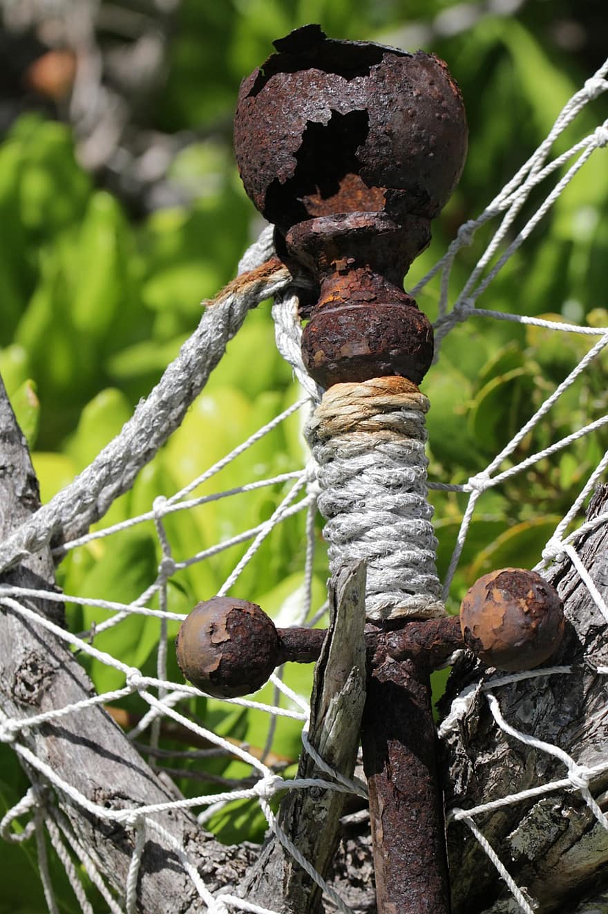 poste de ferro, Poste de Ferro Enferrujado, corda, fechar-se, velho, árvore, oxidado, madeira, floresta, ramo, metal