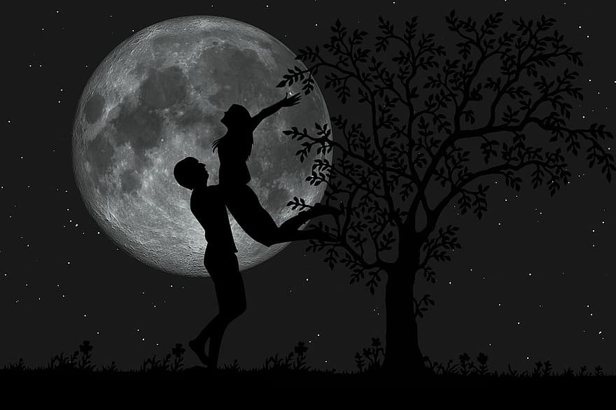 amore, romantico, notte romantica, romanza, coppia, insieme, relazione, Due, cielo notturno, Luna piena