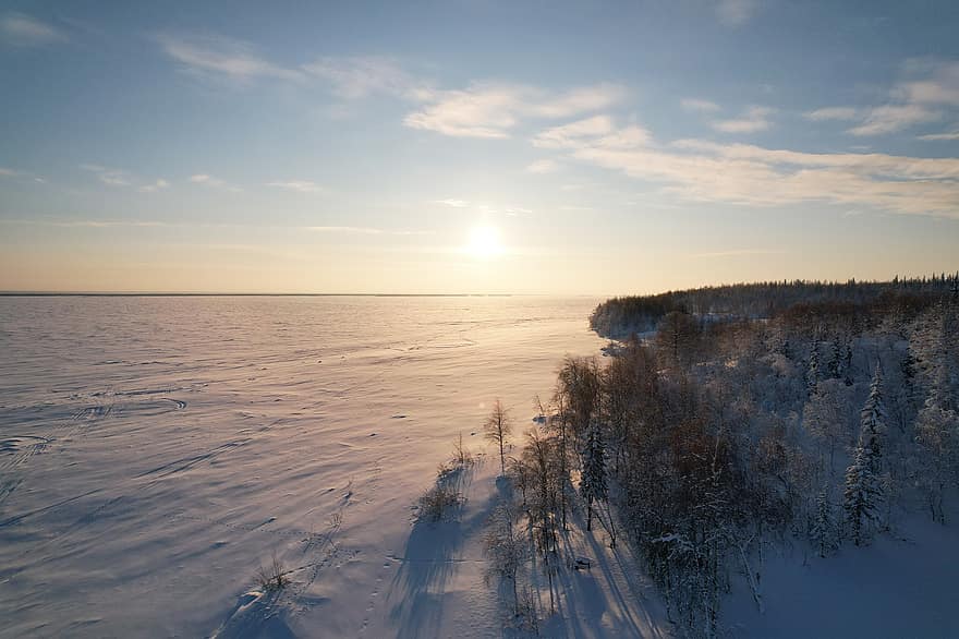 salekhard, hivern, primera hora del matí, Rússia, cercle Àrtic, siberia, tundra, bosc, gelades, endavant, riu congelat