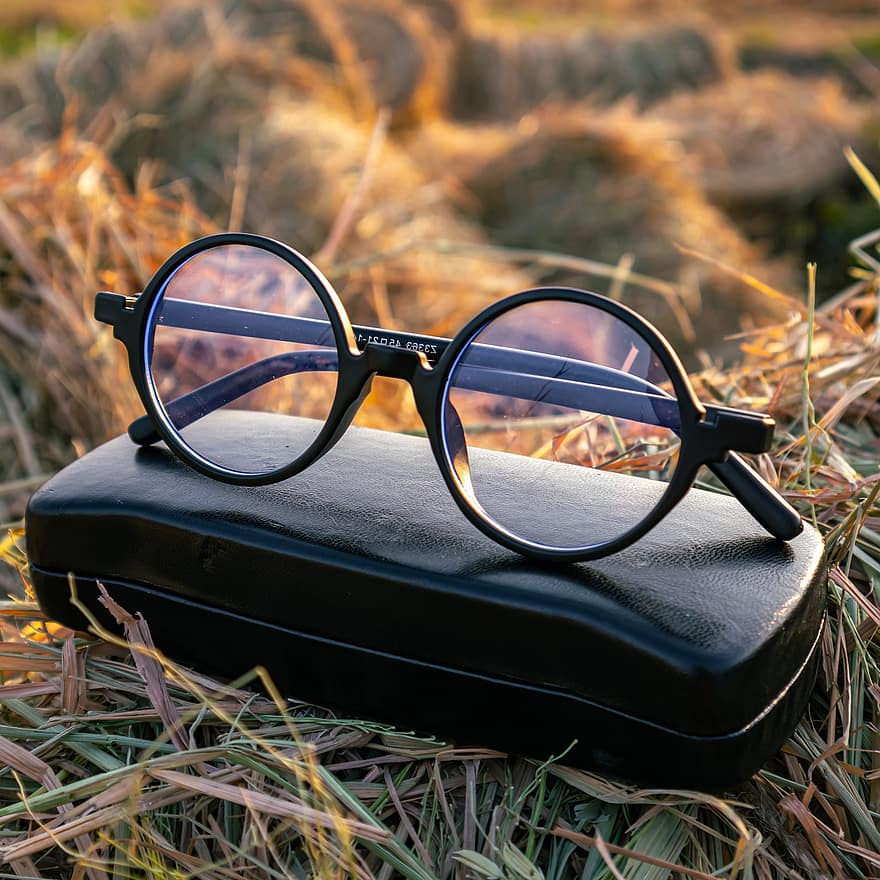 bril, brillen, stro veld, medeplichtig, mode, zonnebril, detailopname, zomer, gezichtsvermogen, gras, lens