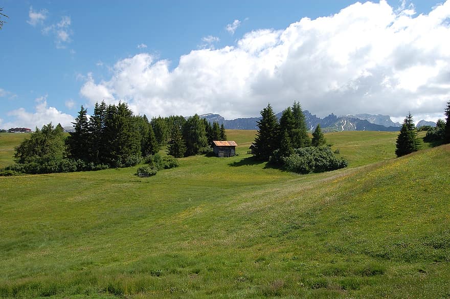 Alpine Meadow, Meadow, Hut, Cabin, Alpe Di Siusi, Seiser Alm, Field, Alpine Tundra, Trees, Alps, Italy