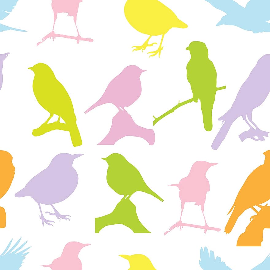 ptáků, barvitý, tvar