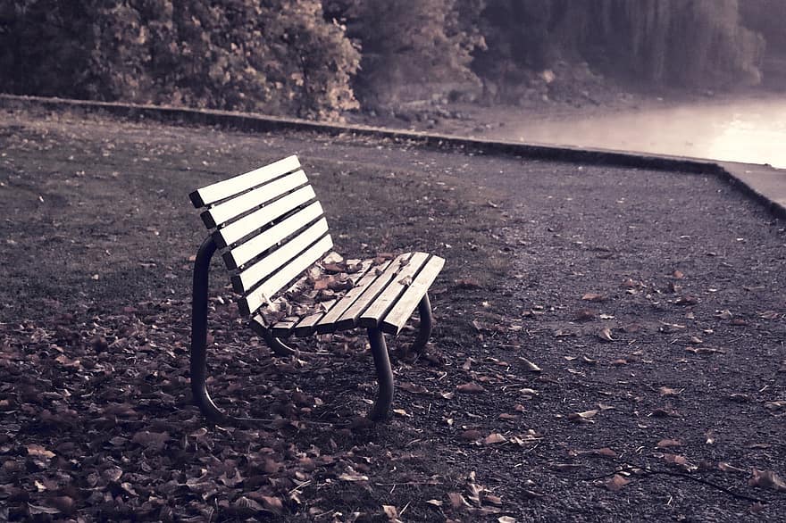 Bench, Seat, Nature, Outdoors