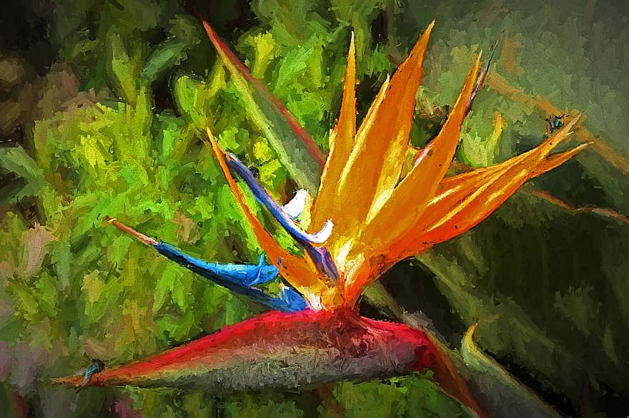Bird Of Paradise, Flower, Art, Photopainting, Floral, Red