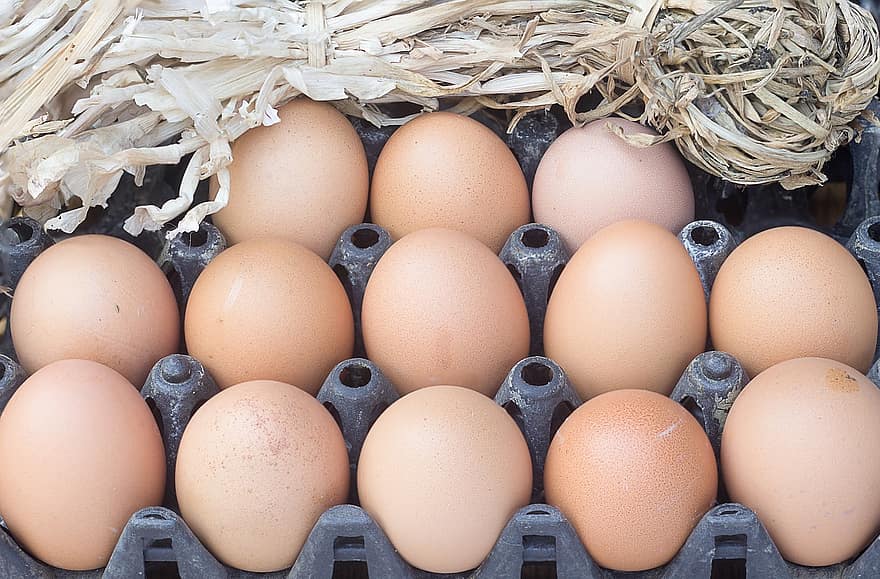 بيض ، بيض الدجاج ، البيض الطازج ، طعام ، نضارة ، بيضة حيوانية ، مزرعة ، عضوي ، قريب ، أكل صحي ، الخلفيات