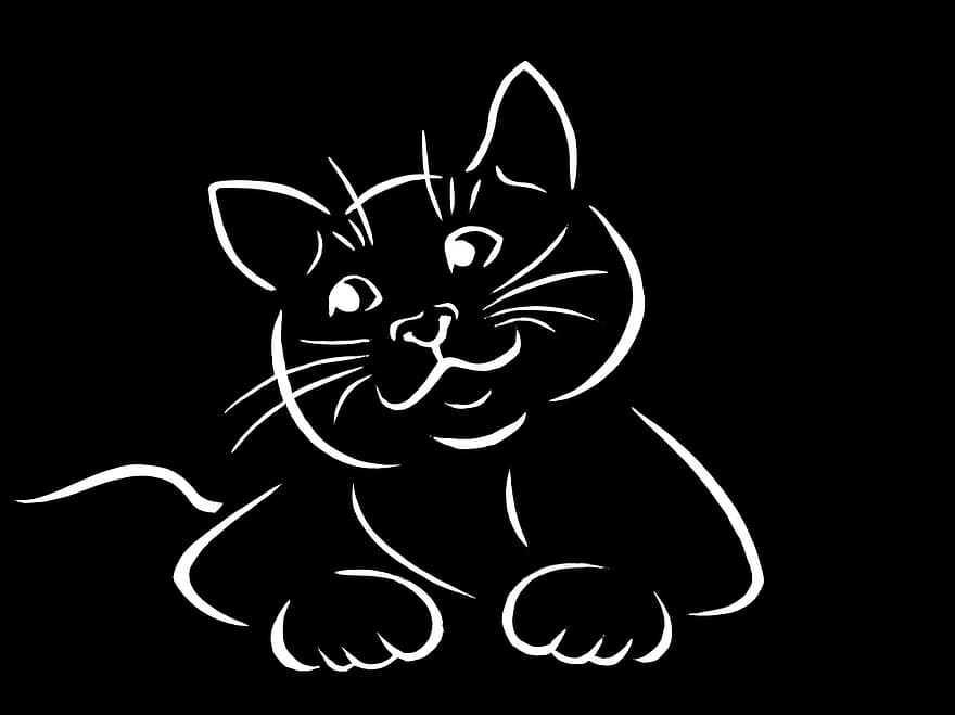 animal, gato, contorno, contornos, en blanco y negro, silueta