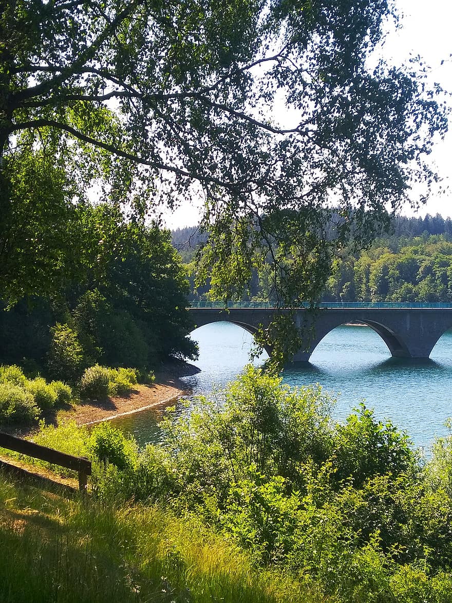 γέφυρα, δέντρο, λίμνη, φράγμα, φύλλα