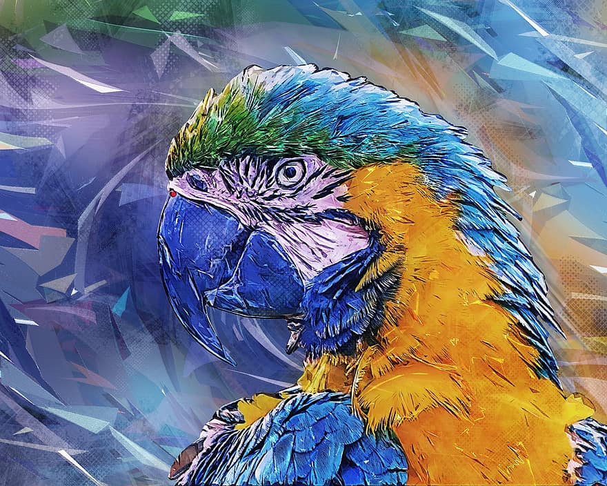 Parrot, Ave, Pet, Animal World, Macaw, Tropical, Colorful, Exotic, Exotic Bird, Bird, Beak