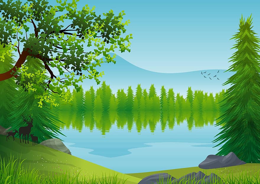illustration, baggrund, tapet, landskab, natur, naturlig, naturskøn, vista, miljø, træ, gran