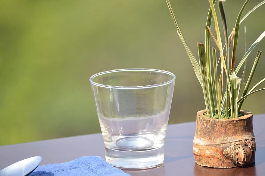 voda, sklenka, rostlina, napít se, nápoj, Dřevěný květináč, dekorativní