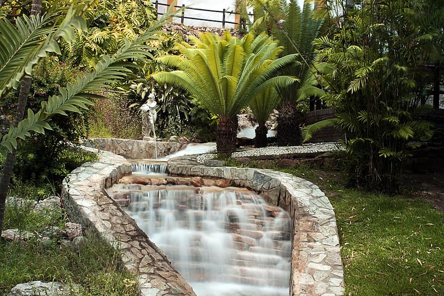 фонтан, пальмовые деревья, сад, водопад, поток, воды, течь, весна, Ботанический сад, парк, растительность