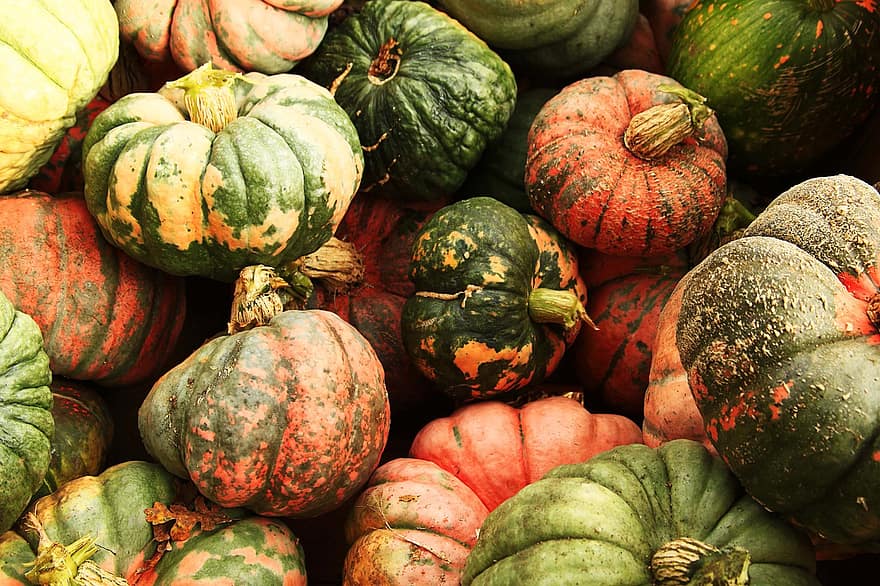 pompoenen, groenten, oogst, halloween, kalebassen, voedsel, produceren, biologisch