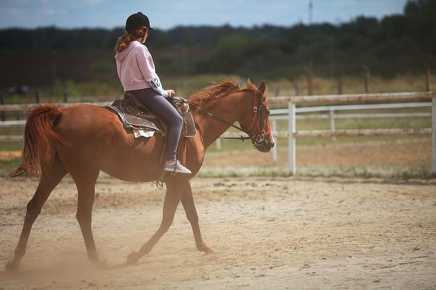 Rider, Horse, Girl, Ranch, Country, Sunset, Farm, Animal, sport, horseback riding, stallion