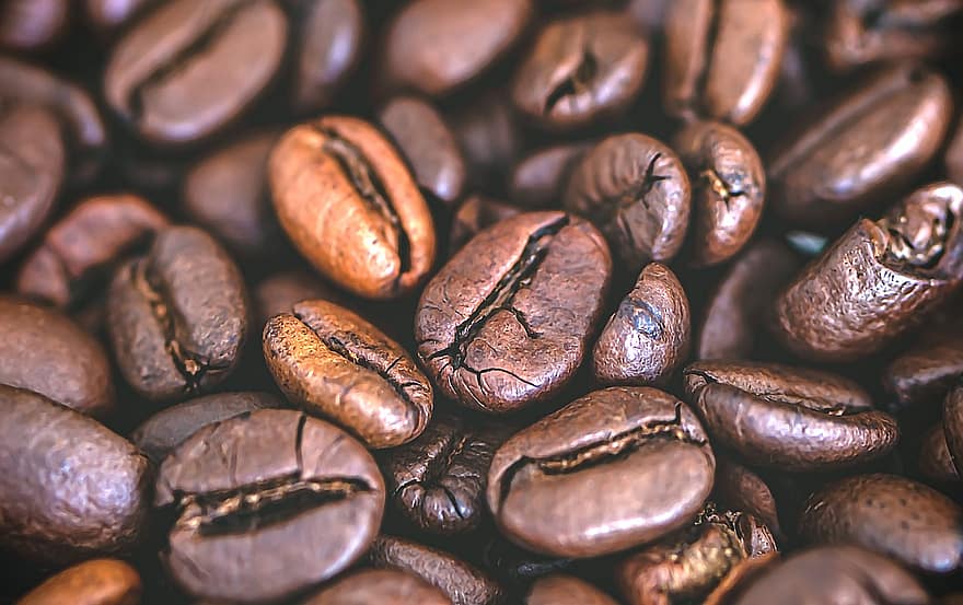 koffie, bonen, koffiezaden, zaden, cafeïne, cafe, aroma, geroosterd, voedsel, drank, bruin