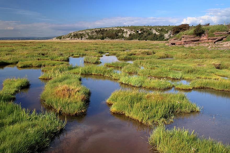 солоне болото, вологий, заболочена місцевість, прибережний, припливні, краєвид, болотний, природний, навколишнє середовище, берег, мальовничий