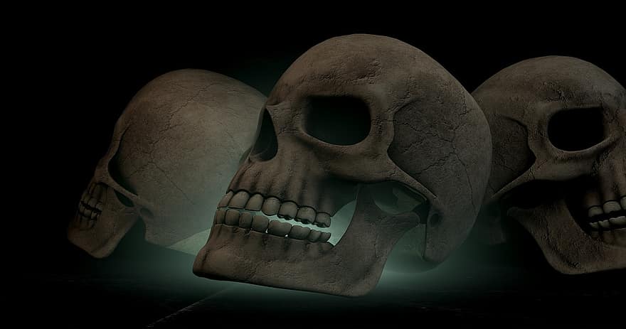 череп, костен, глава, скелет, 3D-модел, графичен, текстура