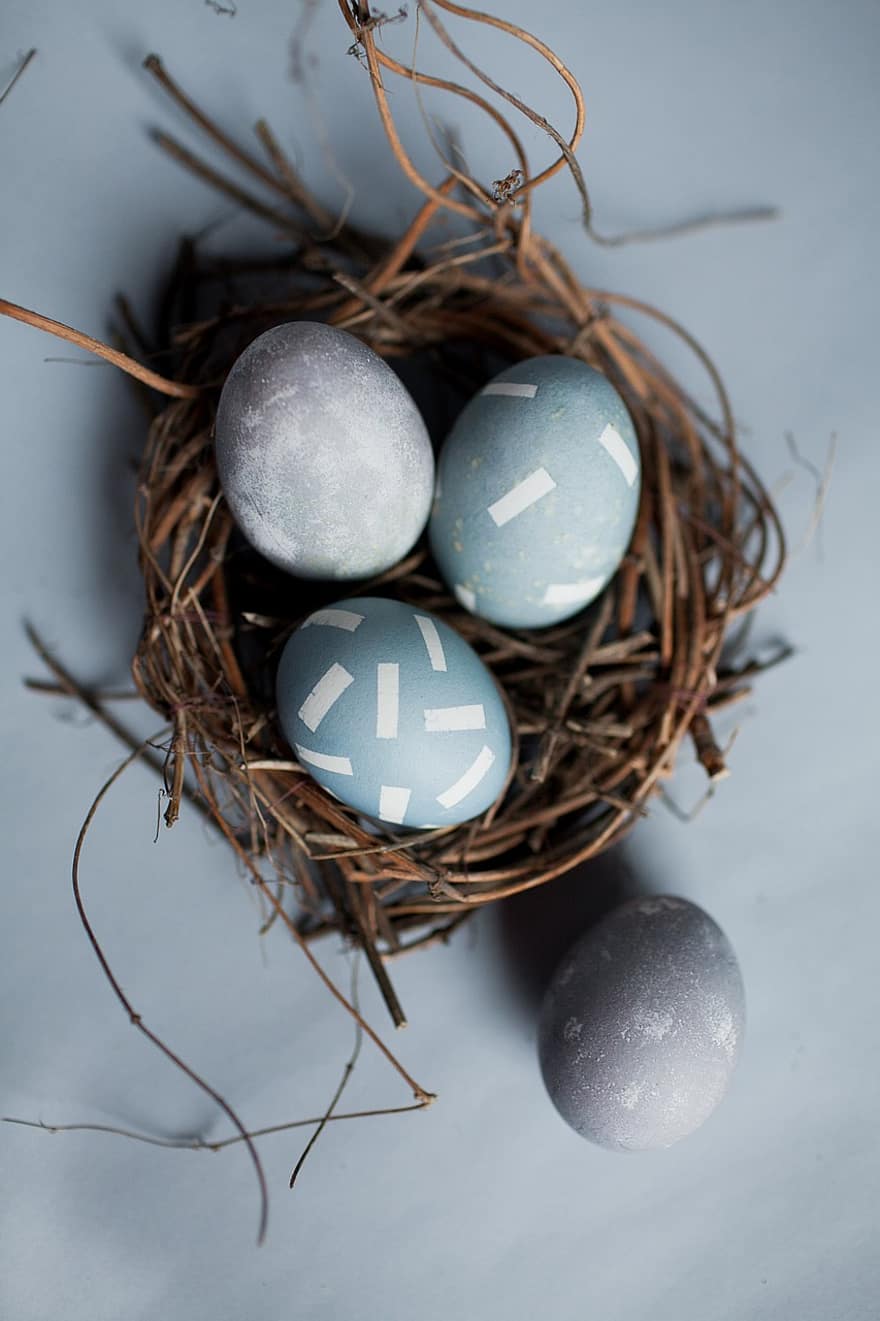 φωλιά, αυγά, Πάσχα, χρωματιστά αυγά, Πασχαλινά αυγά, φωλιά του Πάσχα, ζωική φωλιά, διακόσμηση, εποχή, εορτασμός, γκρο πλαν