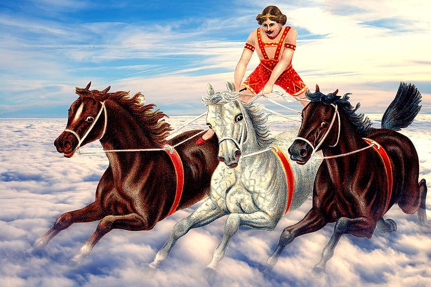 kavalleri, ryttare, sport, häst, djur-, dom, skön, rörelse, himmel, action energi, häst-