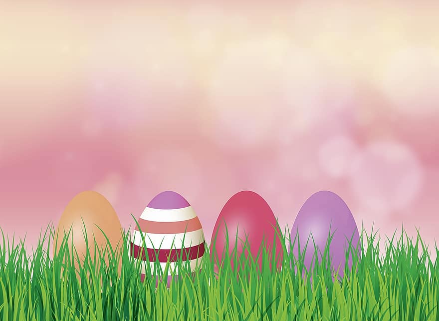 Pasqua, herba, naturalesa, prat, verd, amagatall, ous de Pasqua, colorit, violeta, rosa, taronja