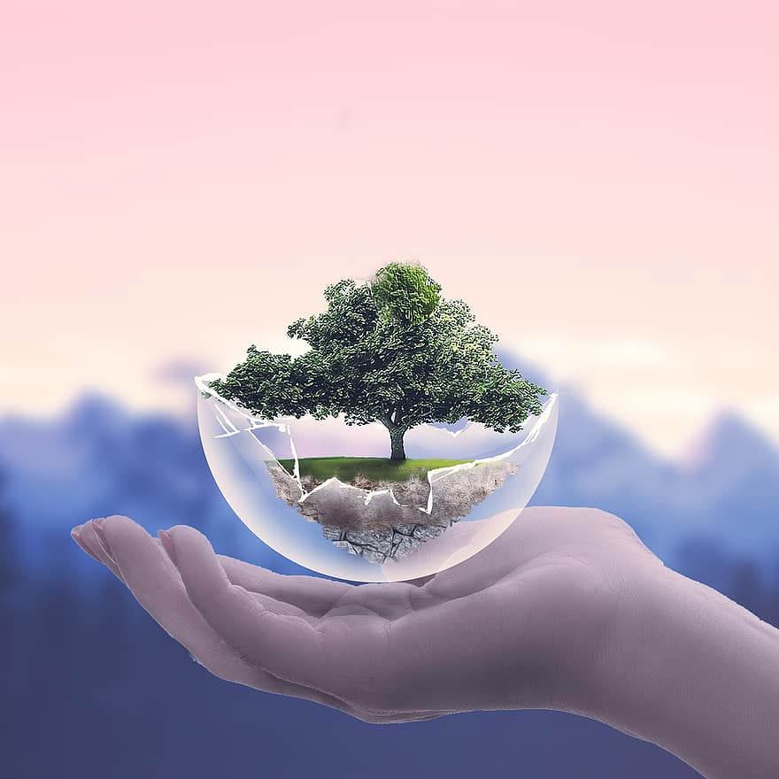 Hand, Tree, Roots, Soil, Ball, Glass