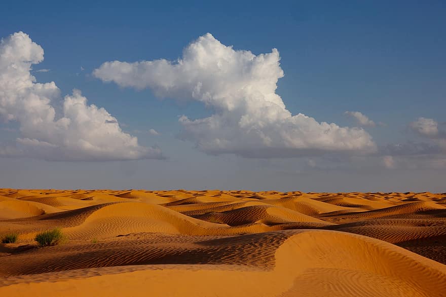Deserto, sende, tunisia, ørken, areia