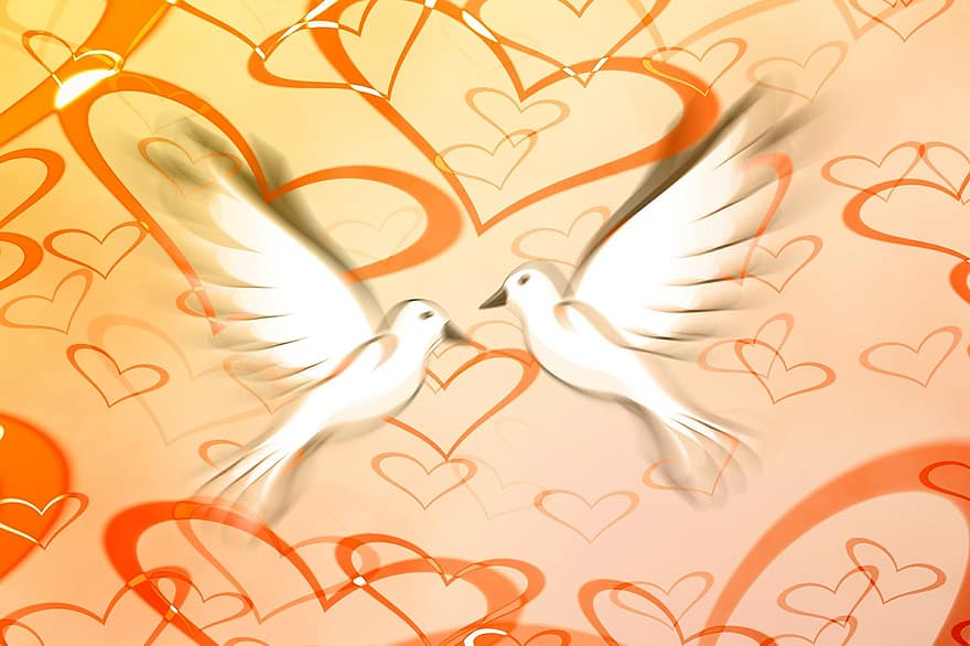 평화 비둘기, 평화, 비둘기, 심장, 실루엣, 애정, 운, 추상, 관계, 발렌타인 데이, 로맨스
