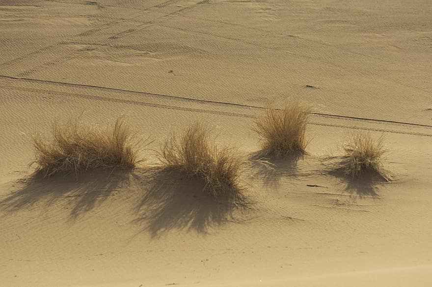 Poušť Maranjab, Írán, poušť, Příroda, provincie isfahán