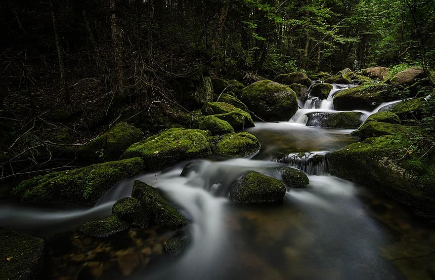 természet, vízesés, folyó, pihentető, Québec, Kanada, zöld, erdő, sziklák