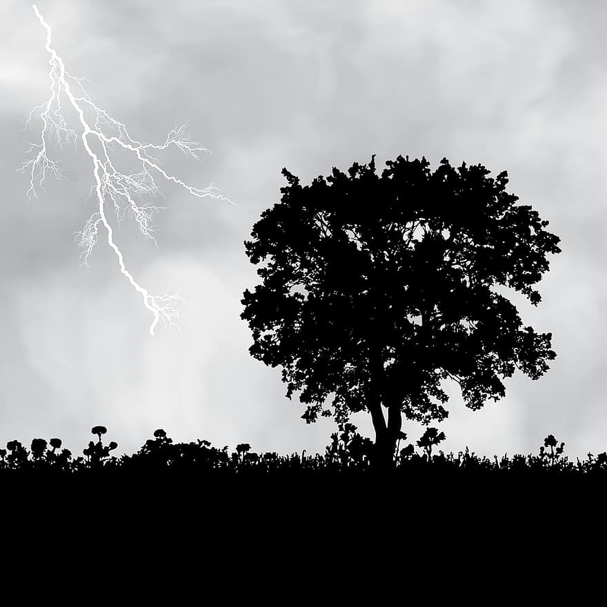 åska, blixt-, natur, storm, väder, elektricitet, träd, silhuett, illustration, svart färg, gren