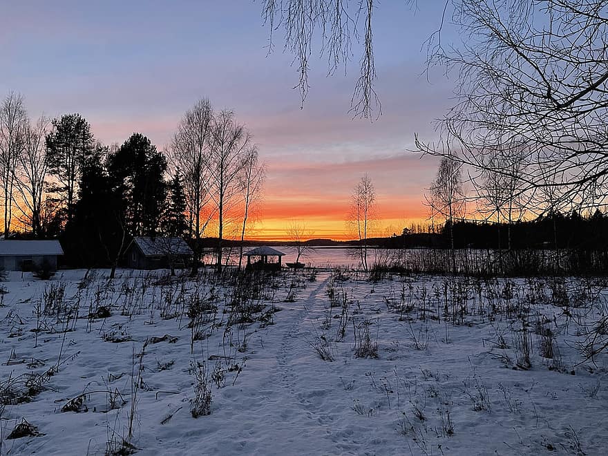 inverno, nascer do sol, Finlândia, floresta, campo, panorama, alvorecer, por do sol, crepúsculo, árvore, neve