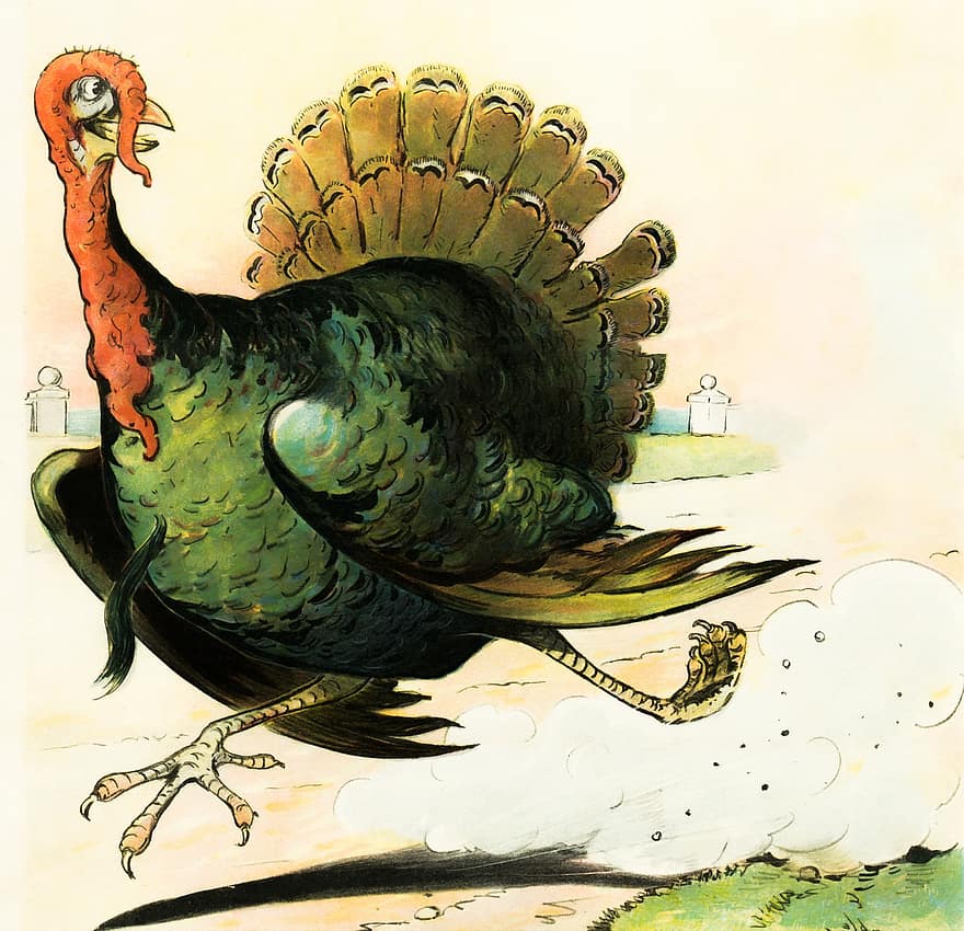 Turkey, Run, Thanksgiving, Bird, Cartoon, Vintage, Running, Poultry, Wild, Farm, Farming