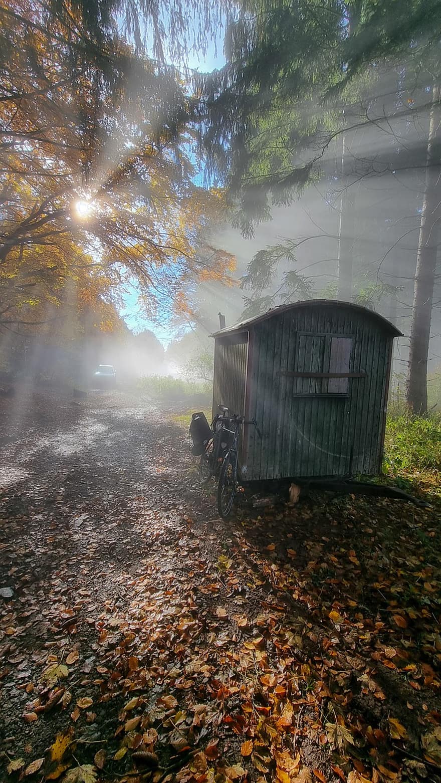 падане, есен, сезон, мъгла, слънчеви лъчи, строително превозно средство, природа