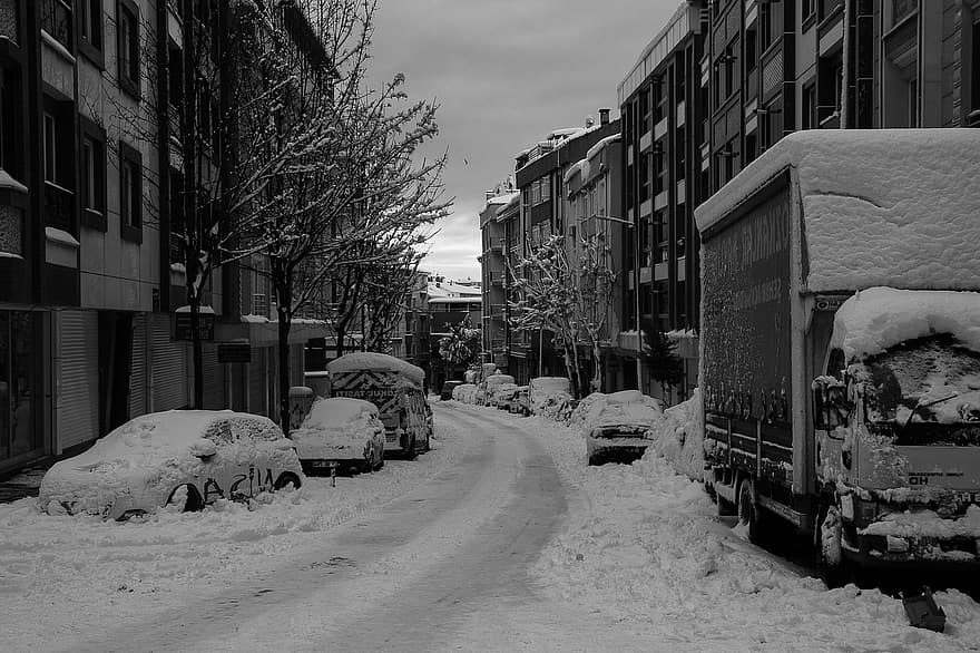 シティ、冬、シーズン、車、都市、雪、イスタンブール、交通手段、トラフィック、猛吹雪、輸送モード